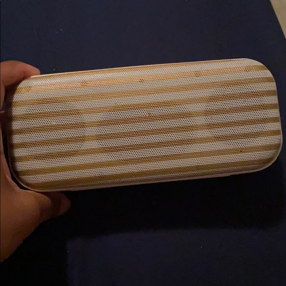 Speaker
